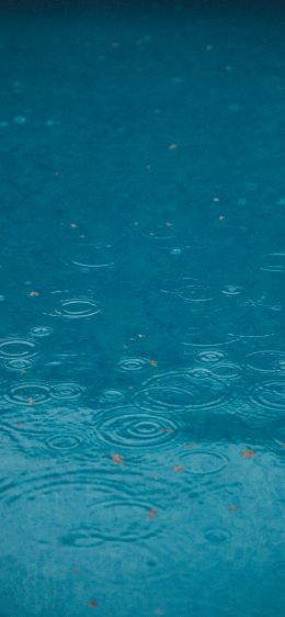 raindrops, rain, blue Wallpaper 1284x2778