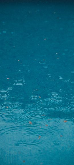 raindrops, rain, blue Wallpaper 1440x3200