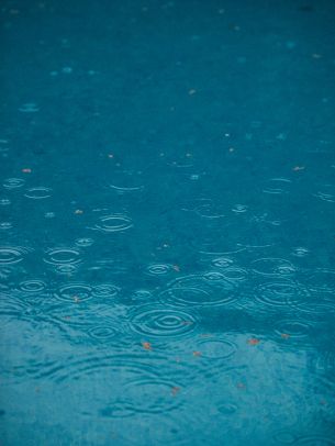 raindrops, rain, blue Wallpaper 2048x2732