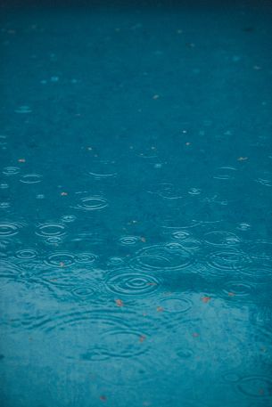 raindrops, rain, blue Wallpaper 4912x7360