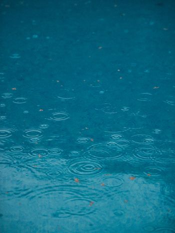 raindrops, rain, blue Wallpaper 1620x2160