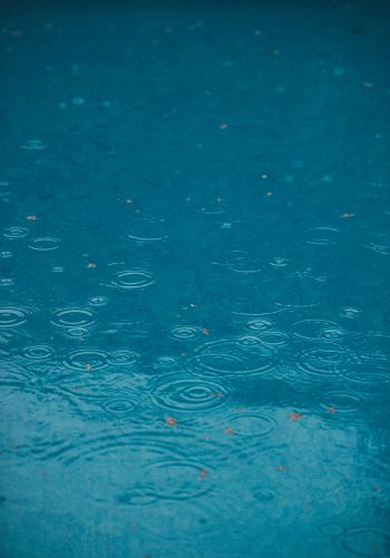 Обои 1668x2388 капли дождя, дождь, синий