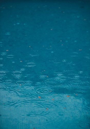 raindrops, rain, blue Wallpaper 1640x2360