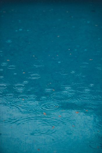 Обои 640x960 капли дождя, дождь, синий