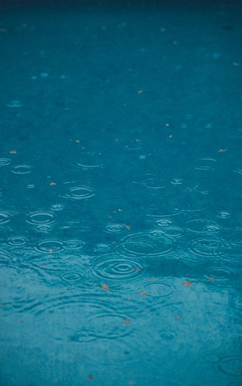 raindrops, rain, blue Wallpaper 1752x2800