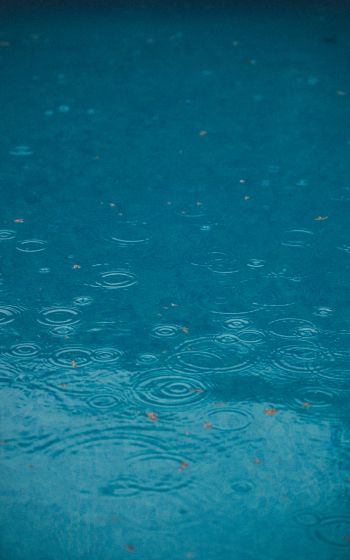 raindrops, rain, blue Wallpaper 800x1280