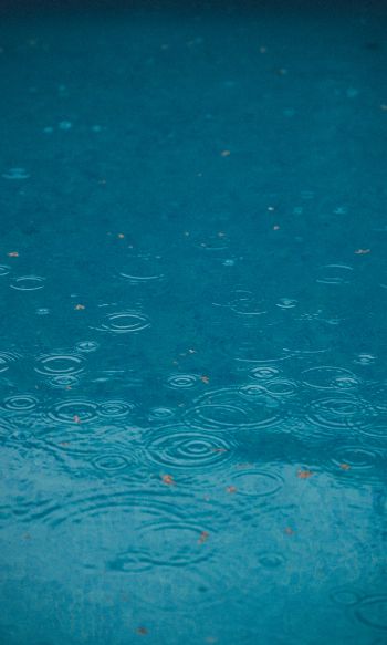 raindrops, rain, blue Wallpaper 1200x2000