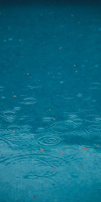 raindrops, rain, blue Wallpaper 720x1440