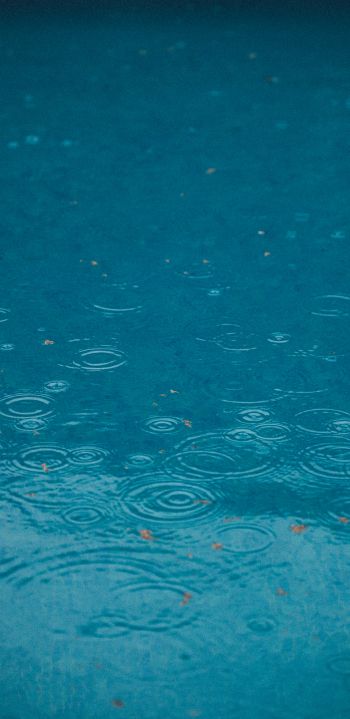 raindrops, rain, blue Wallpaper 1440x2960