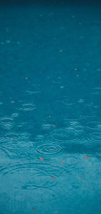 raindrops, rain, blue Wallpaper 1440x3040