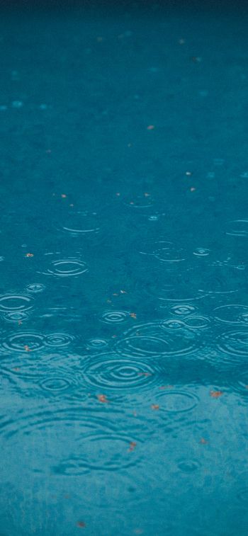 raindrops, rain, blue Wallpaper 1170x2532