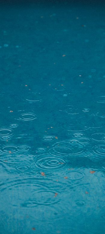 raindrops, rain, blue Wallpaper 1440x3200
