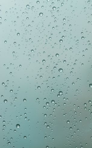 raindrops on glass Wallpaper 1752x2800