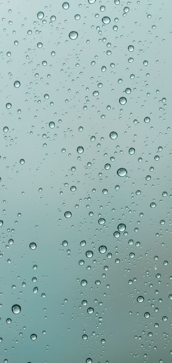 raindrops on glass Wallpaper 1440x3040