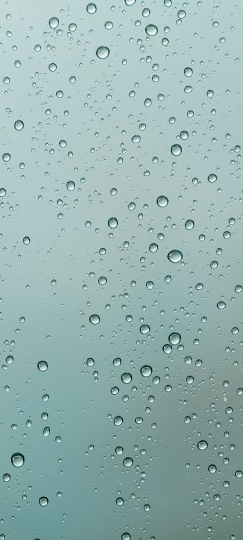 raindrops on glass Wallpaper 1440x3200