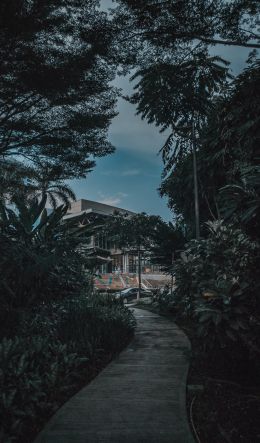 aesthetics, evening Wallpaper 600x1024