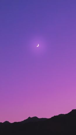 crescent, purple Wallpaper 2160x3840
