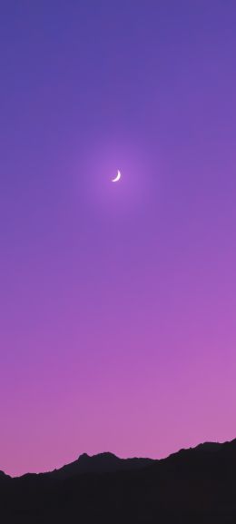 crescent, purple Wallpaper 1440x3200