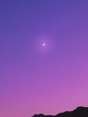 crescent, purple Wallpaper 2048x2732