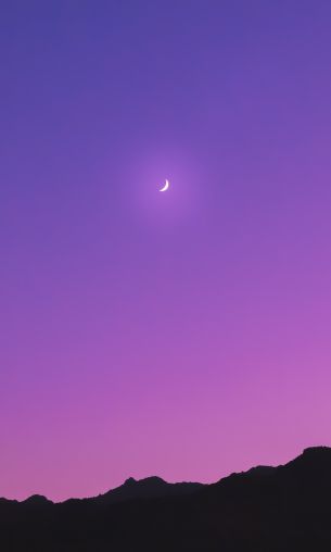 crescent, purple Wallpaper 1200x2000