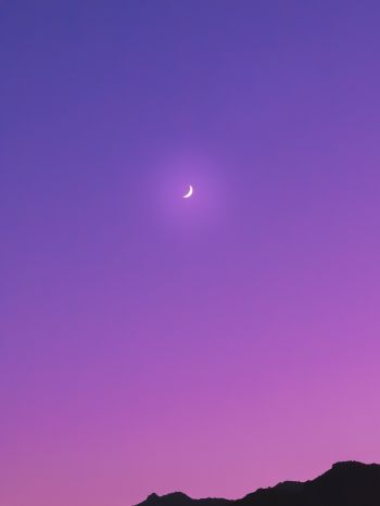 crescent, purple Wallpaper 1620x2160