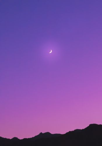 crescent, purple Wallpaper 1668x2388