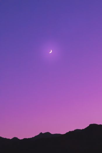 crescent, purple Wallpaper 640x960