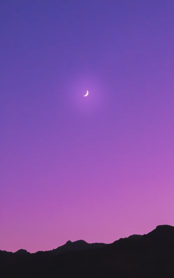 crescent, purple Wallpaper 1752x2800
