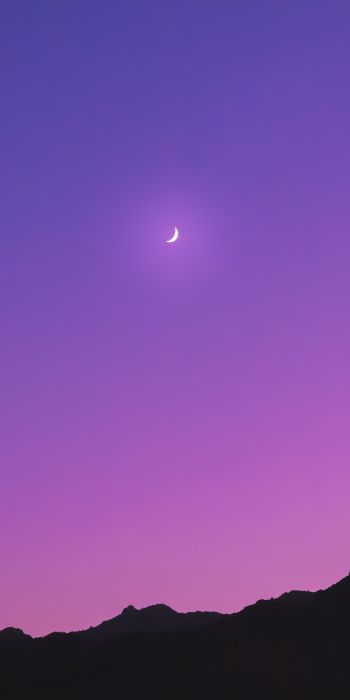 crescent, purple Wallpaper 720x1440