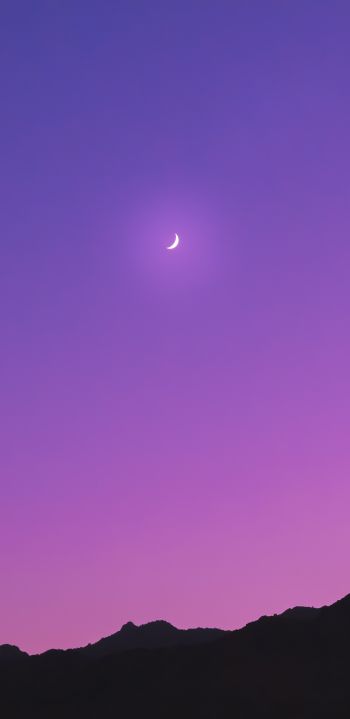 crescent, purple Wallpaper 1440x2960