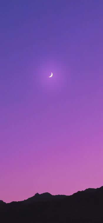 crescent, purple Wallpaper 1125x2436