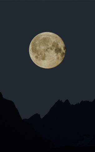 moon, night, black Wallpaper 1600x2560