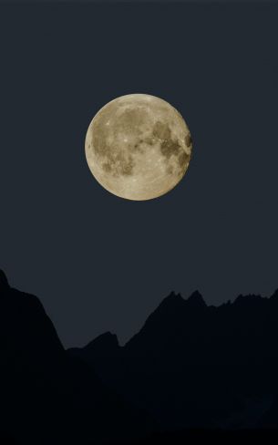 moon, night, black Wallpaper 800x1280