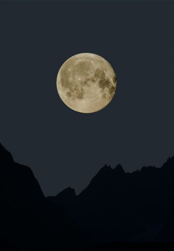 moon, night, black Wallpaper 1640x2360