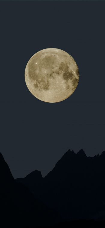 moon, night, black Wallpaper 1170x2532
