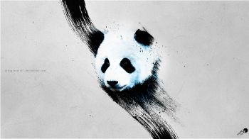 panda, gray Wallpaper 1920x1080
