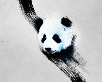 panda, gray Wallpaper 1280x1024