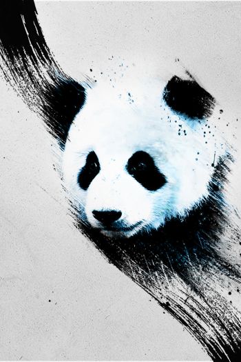 panda, gray Wallpaper 640x960