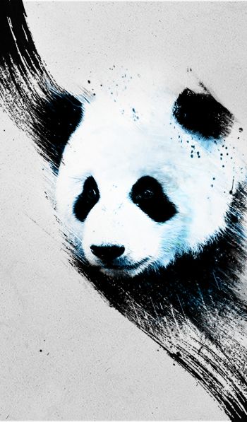 panda, gray Wallpaper 600x1024