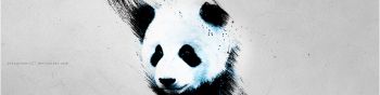 panda, gray Wallpaper 1590x400