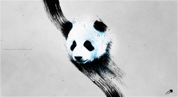 panda, gray Wallpaper 1980x1080