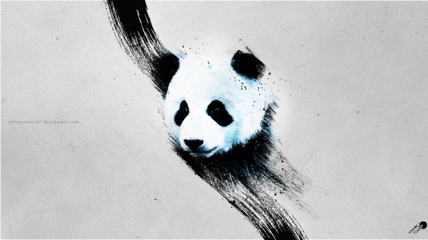panda, gray Wallpaper 1600x900