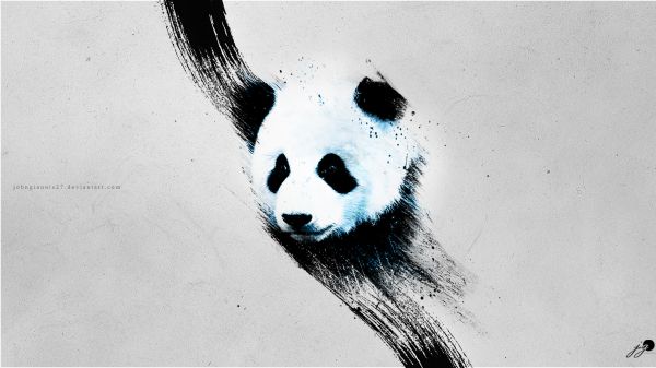 panda, gray Wallpaper 1366x768