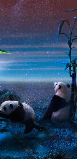 panda, blue, snow Wallpaper 1080x2220
