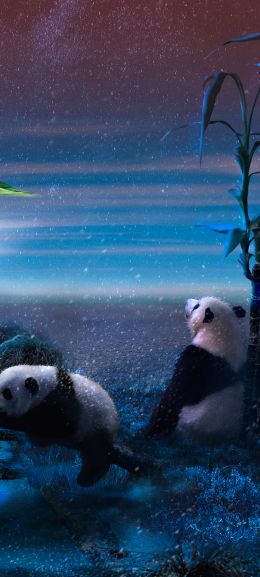 panda, blue, snow Wallpaper 1440x3200