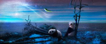 panda, blue, snow Wallpaper 3440x1440