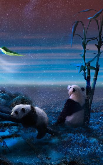 panda, blue, snow Wallpaper 1600x2560