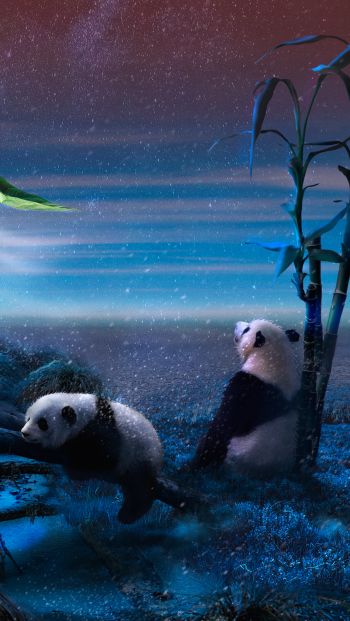 panda, blue, snow Wallpaper 640x1136