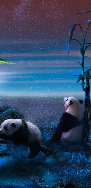 panda, blue, snow Wallpaper 1080x2220