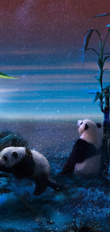 panda, blue, snow Wallpaper 1440x3040